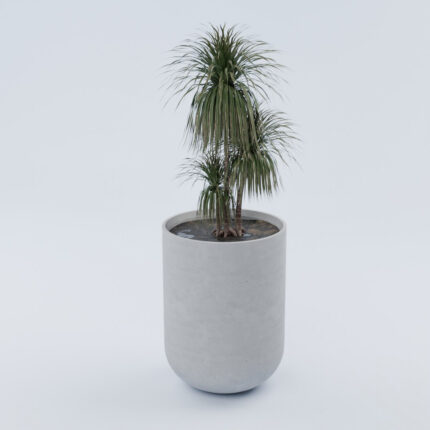Beton-Blumenkübel für den Außenbereich „Essen M“