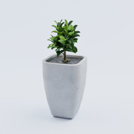 Beton-Blumenkübel für den Außenbereich „Faro M“