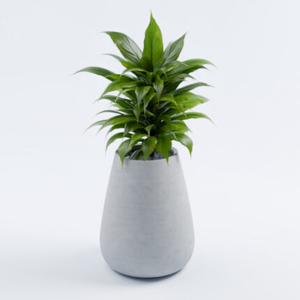 Beton-Blumenkübel für den Außenbereich „Neapol M“