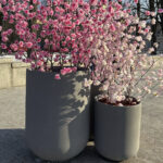 Beton-Blumenkübel für den Außenbereich „Essen L“ - Bild 7