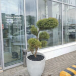 Beton-Blumenkübel für den Außenbereich „Milano M“ - Bild 8