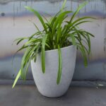 Beton-Blumenkübel für den Außenbereich „Milano M“ - Bild 5